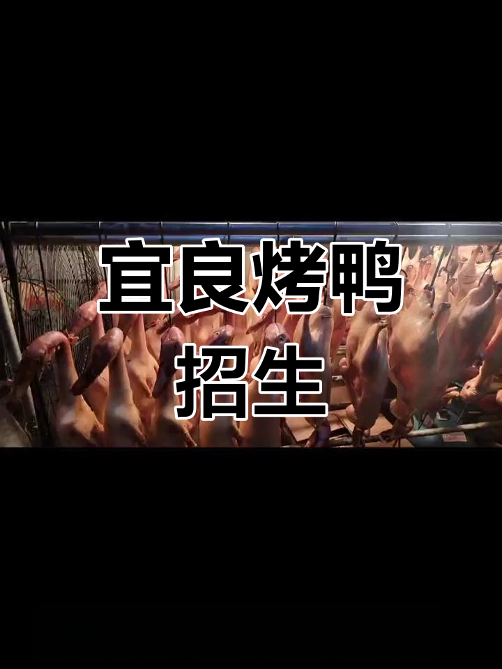正宗宜良烤鸭,金牌琵琶鸭技艺传承,长期招聘学员