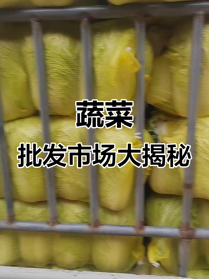新鲜蔬菜批发市场，白菜、山药等一应俱全