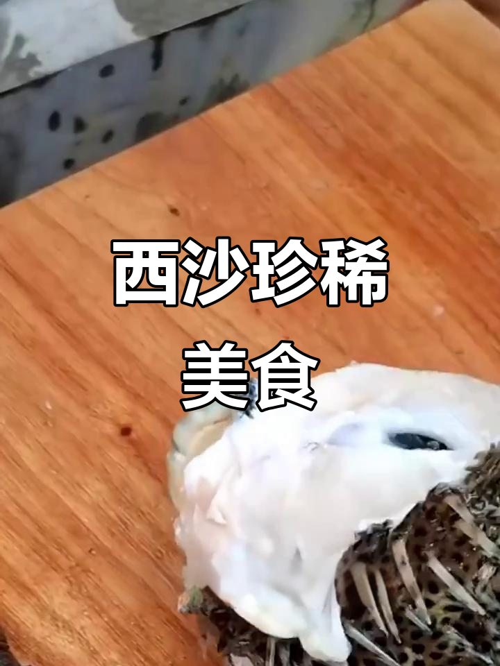 海南西沙的刺龟鱼,独特美味,很少有人尝试过