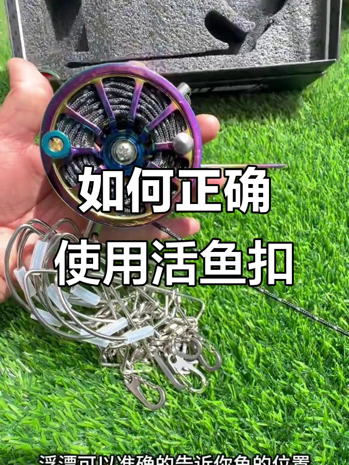 活鱼扣使用指南,轻松掌握钓鱼技巧