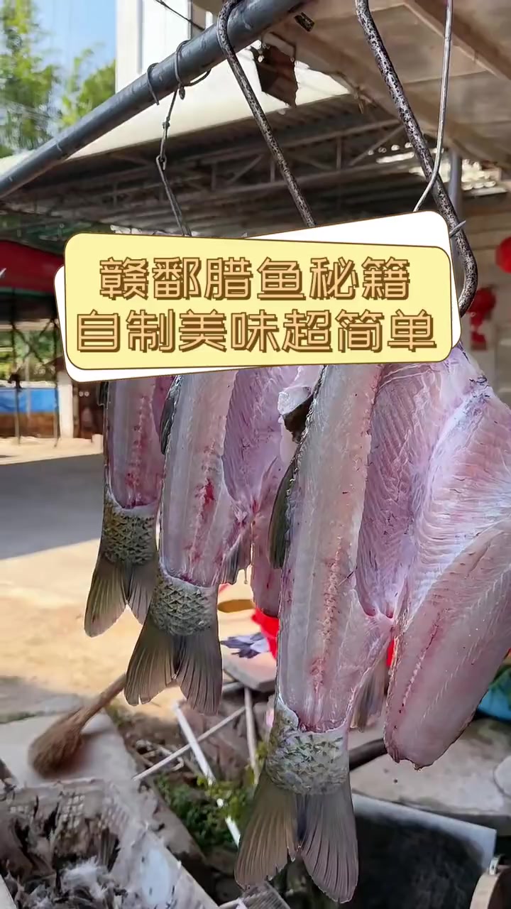 赣鄱腊鱼秘籍,自制美味超简单