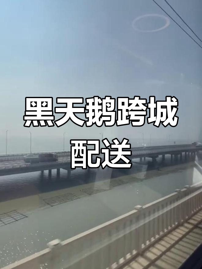 3000元黑天鹅蛋糕,跨越千里送至芜湖
