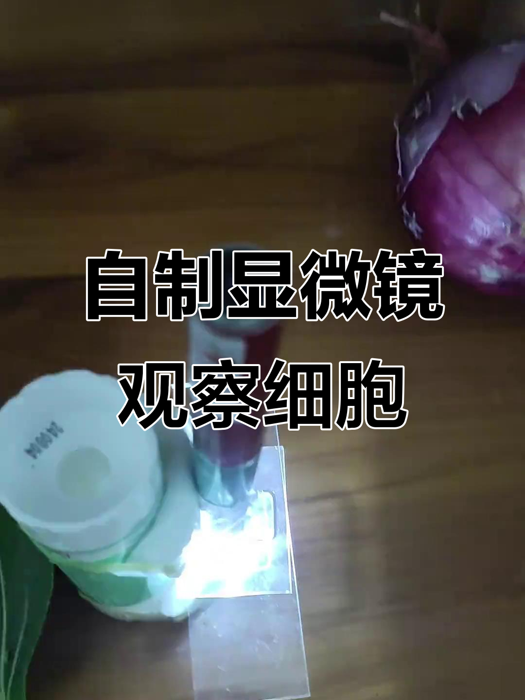 自制高倍显微镜,揭秘青菜叶片下表皮细胞的奥秘