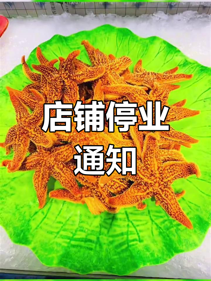 9月1日起,店面装修暂停营业,恢复时间另行通知