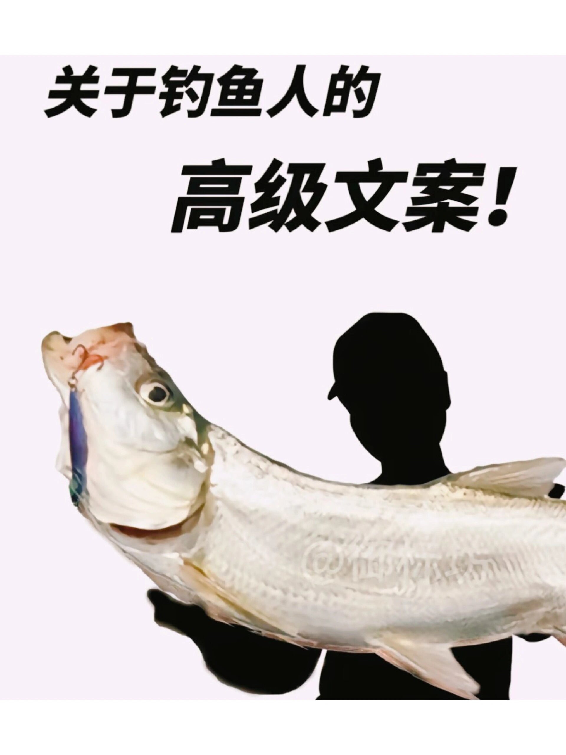 关于钓鱼人的高级文案,你还知道那些?