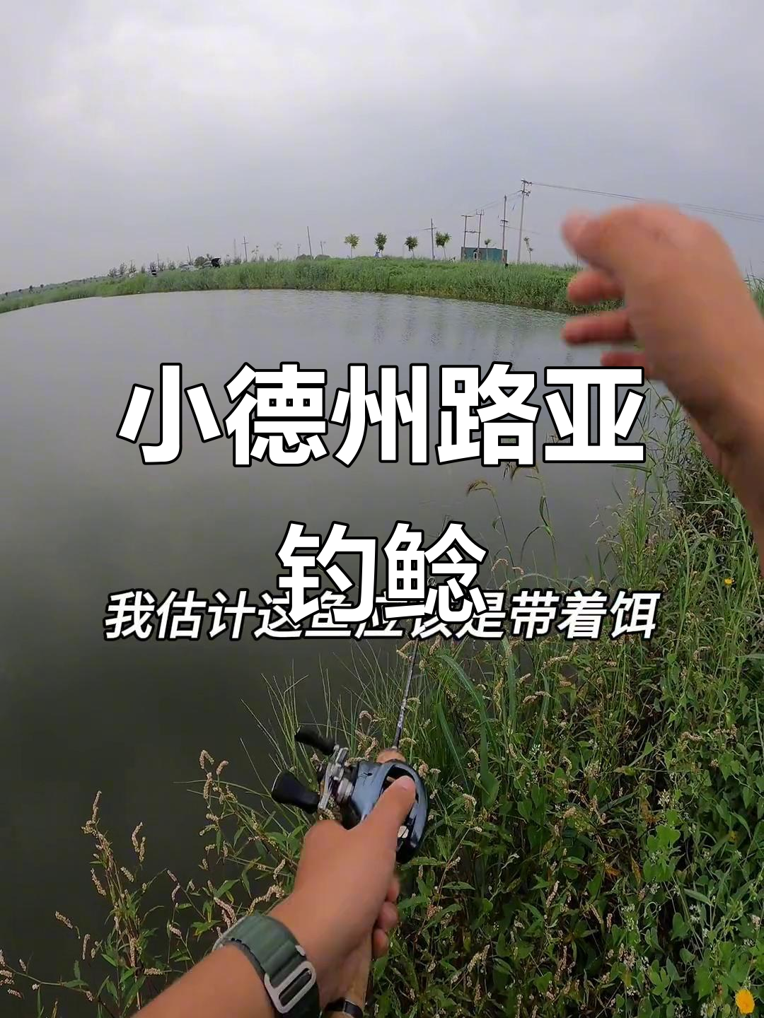 微物路亚挑战铁丝网,小鲶鱼斗智斗勇