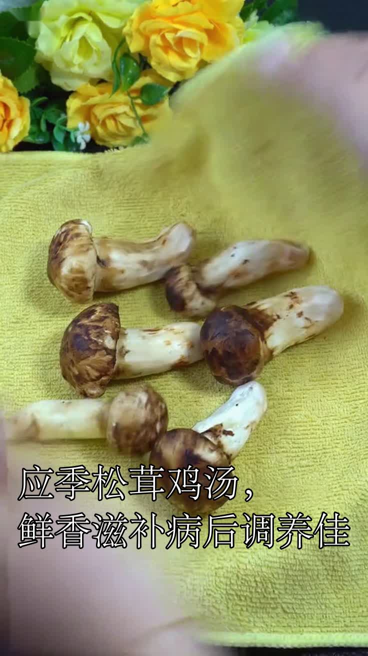 应季松茸鸡汤,鲜香滋补病后调养佳