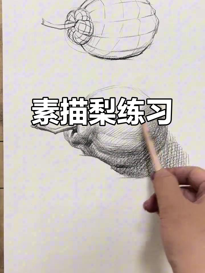 一起动手画梨,轻松掌握素描技巧!
