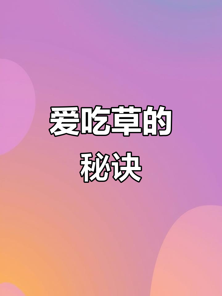 这款芝麻沙拉汁让我爱上蔬菜,低卡又美味!