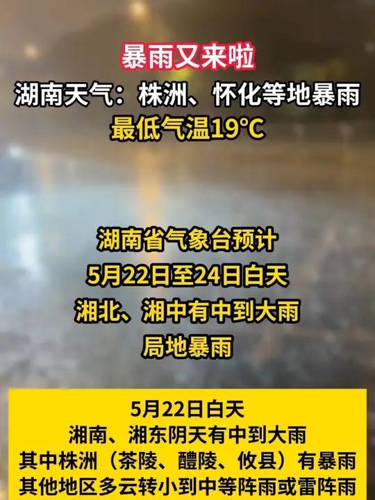暴雨又来啦!湖南天气:株洲、怀化等地暴雨,最低气温19℃#暴雨#湖南#天气