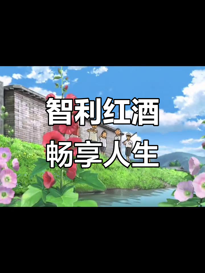 智利葡萄酒:享受每一刻,找到自己的快乐