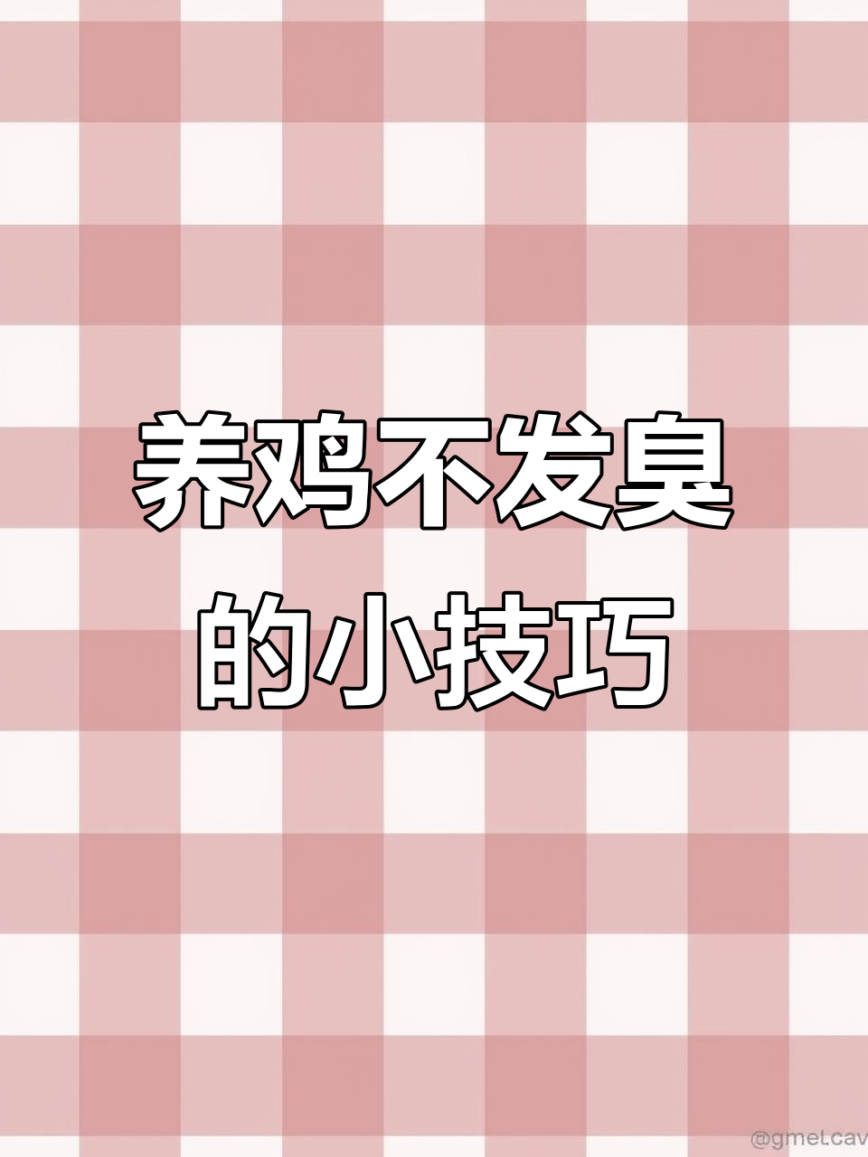 楼顶养鸡不臭的秘诀,发酵床让清理更轻松