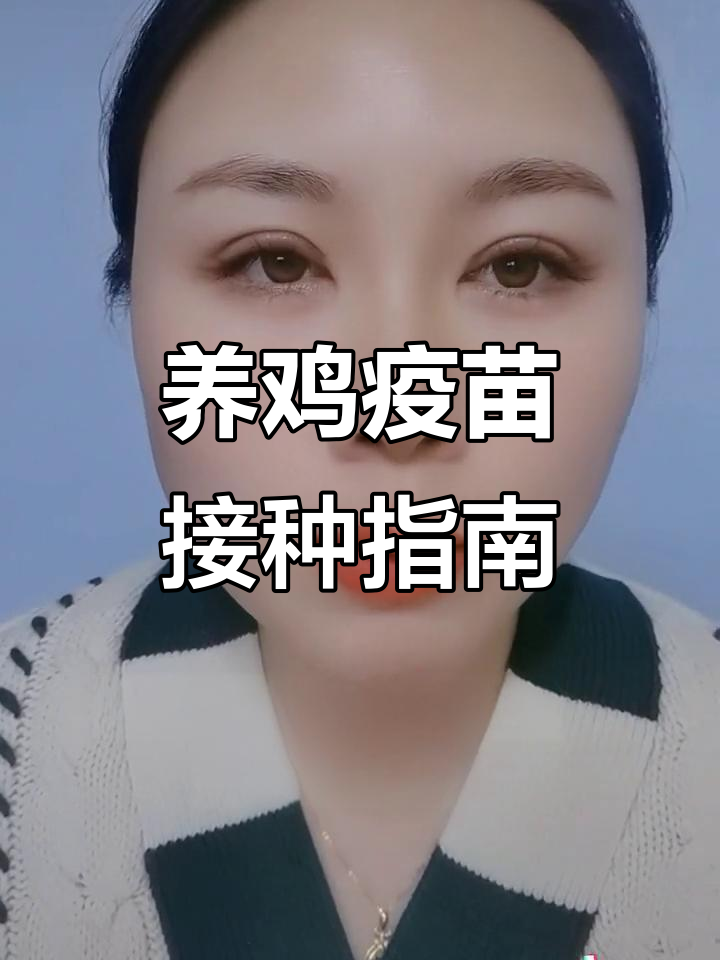 养鸡疫苗全攻略:从孵化到成禽的防疫计划