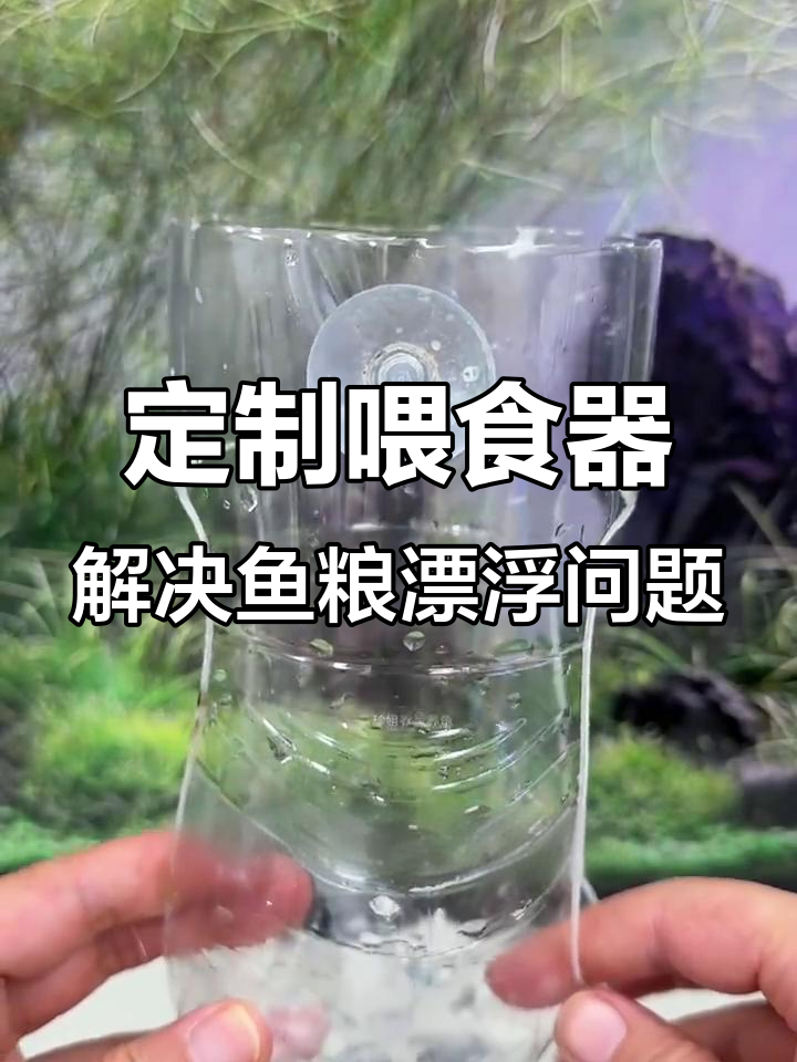 自制喂食器让鱼粮不漂散，定时定点吃饭更卫生