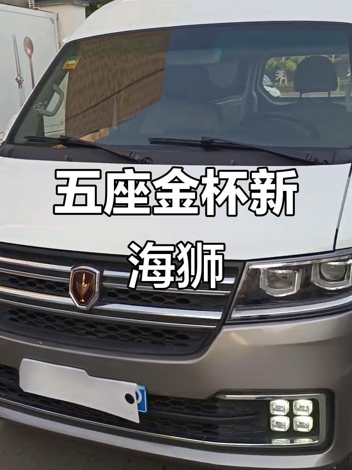 金杯新海狮，五座设计，拉货载人两用，性价比超高！