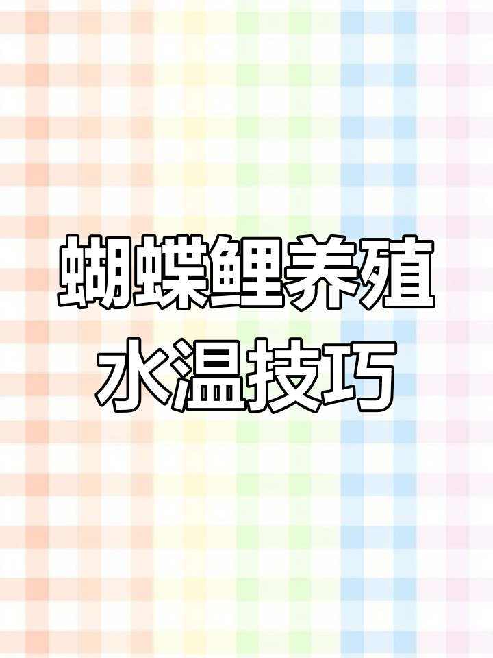 蝴蝶鲤水花到鱼苗饲养水温全攻略,如何精准控制温度促进生长
