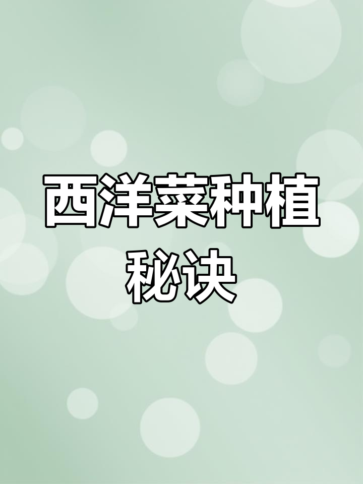 西洋菜种植小技巧,轻松上手!