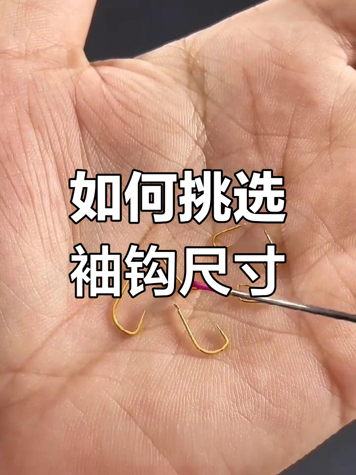 袖钩大小怎么选?从1号到6号的钓鱼技巧全解析