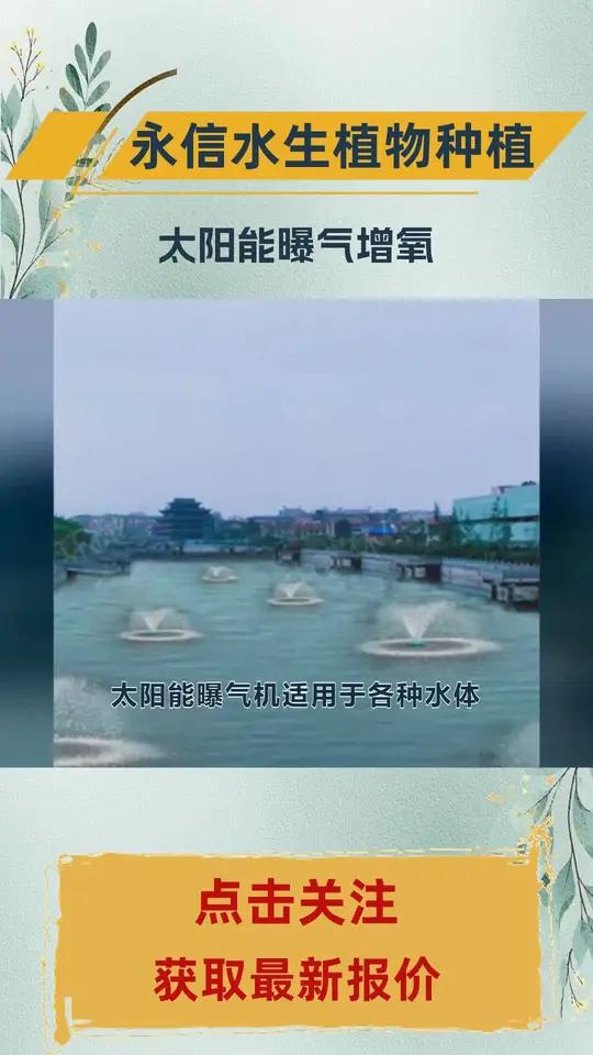 qsb潜水曝气机 太阳能曝气增氧 太阳能曝气机公司 太阳能浮水喷泉式曝气机 太阳能曝气增氧