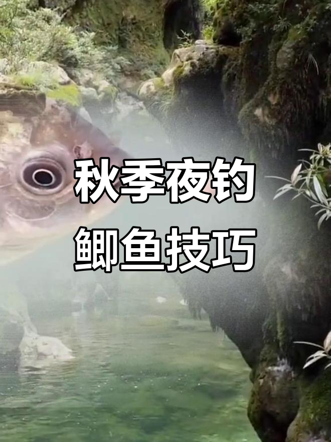 秋季夜钓鲫鱼技巧:选择深浅交界处,调整钓法提高中鱼率