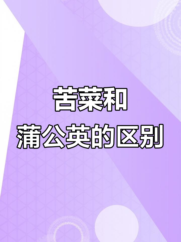 苦菜与蒲公英:你了解它们的区别吗?