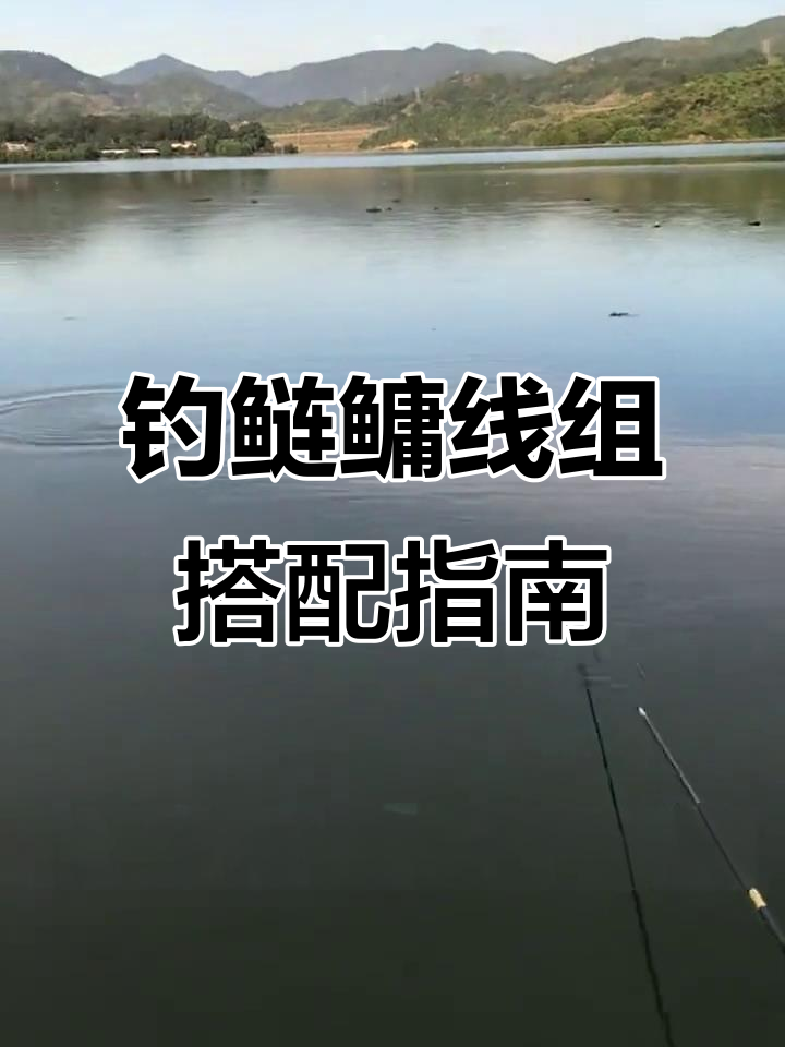 钓鲢鳙主线子线搭配技巧,如何选择合适的鱼钩和线组