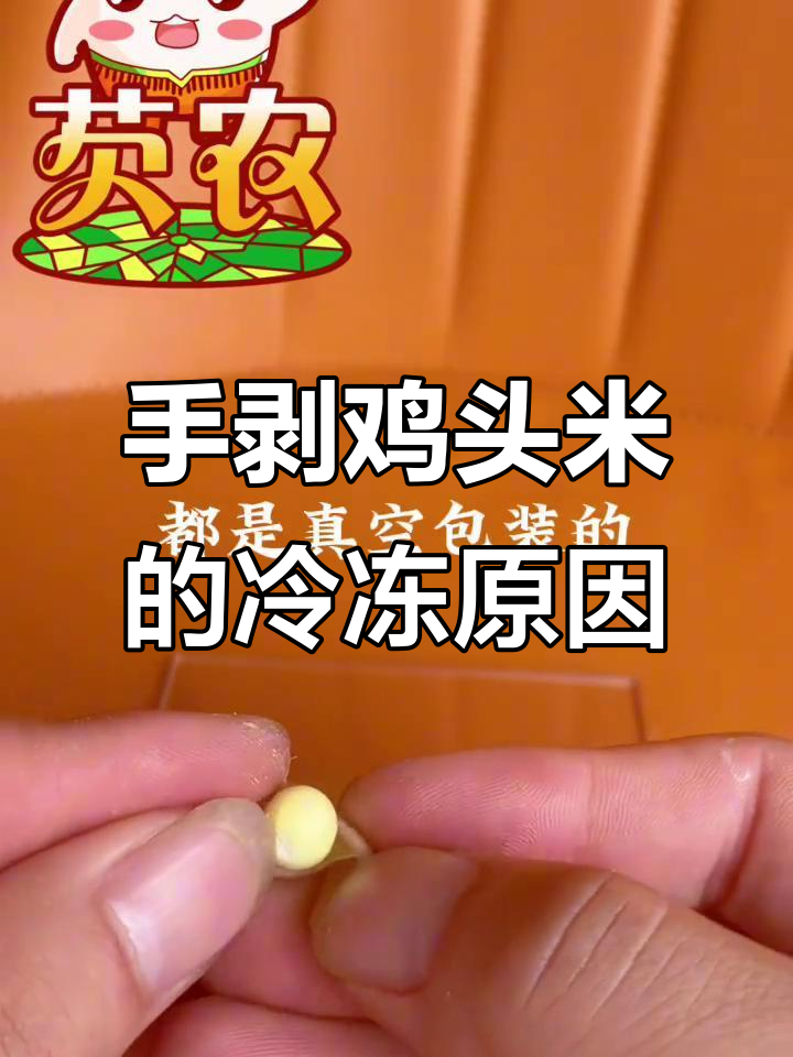 为什么苏州鸡头米要加水冰冻保存?揭秘手剥工艺的秘密