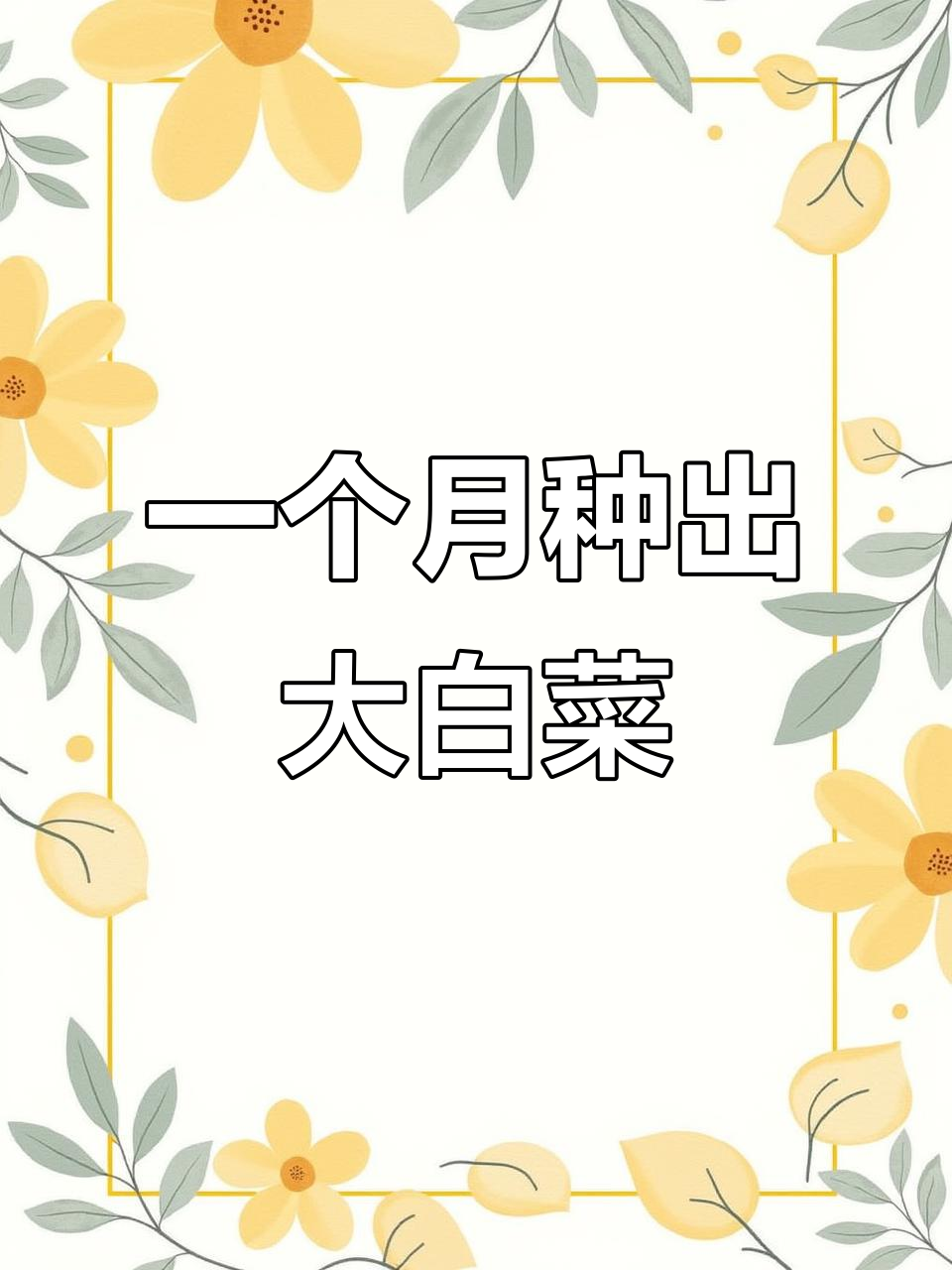 在家种大白菜,30天就能收获新鲜蔬菜