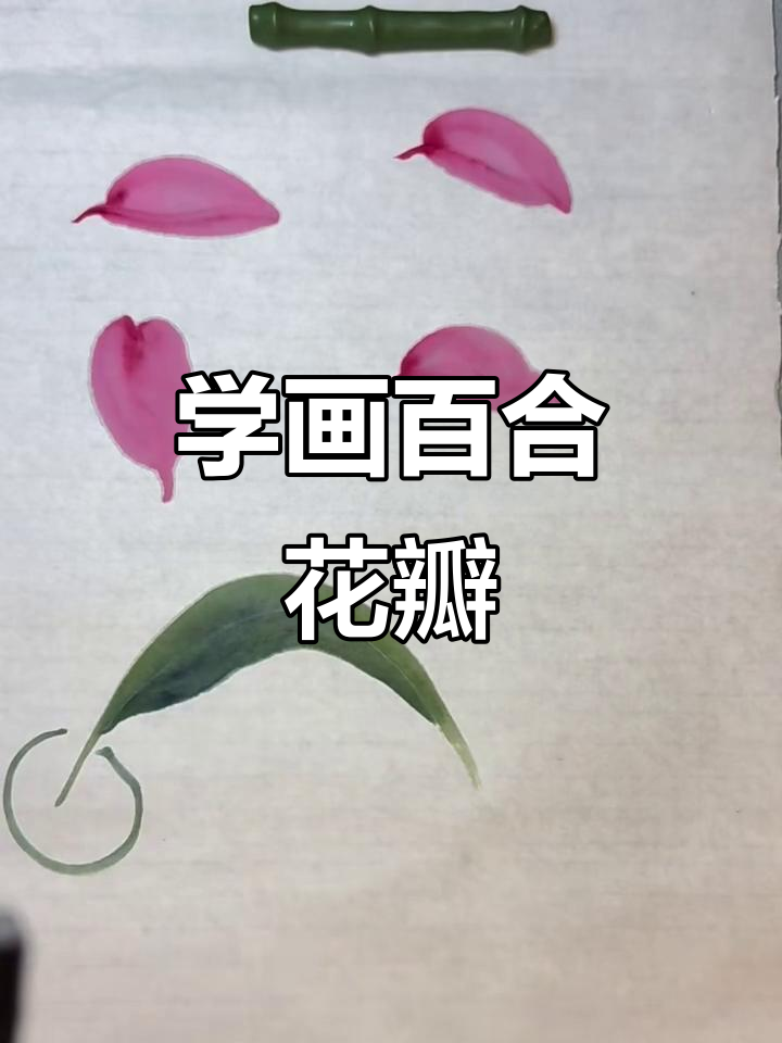 百合花花瓣与叶子画法技巧,轻松掌握调色步骤