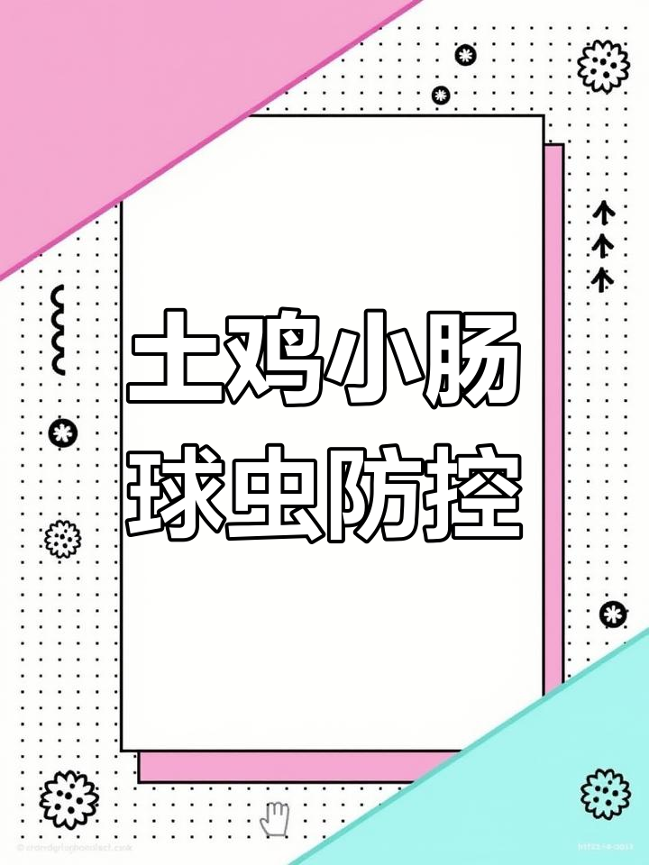 小肠球虫病与粪便异常分析,如何防治?