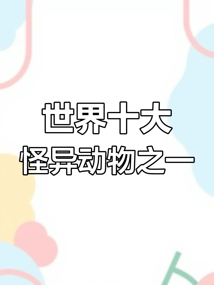 独眼鲨鱼现身,罕见雪白小鲨惊艳世界