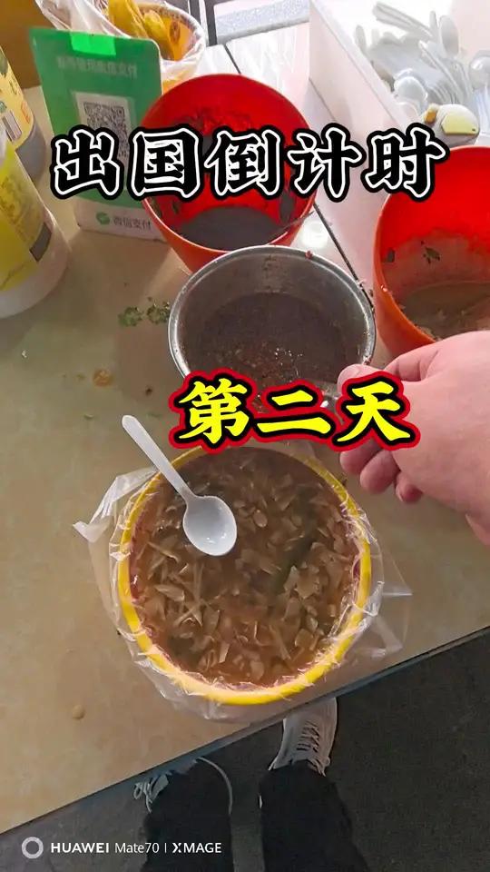 出国倒计时第二天,吃的国内早餐吧!#打工仔君哥#真实生活分享官