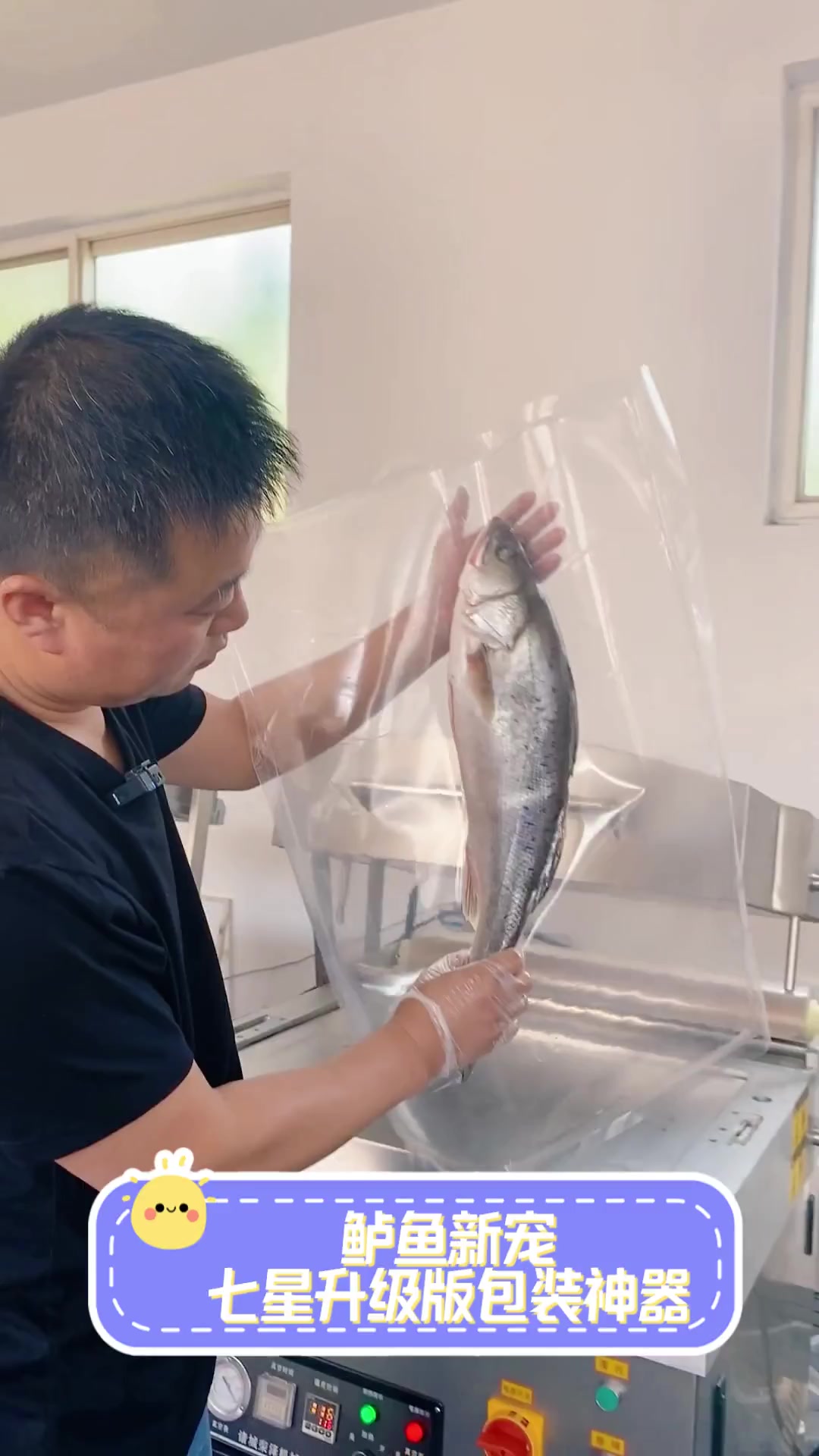 鲈鱼新宠,七星升级版包装神器