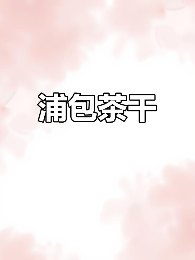 安徽皖南传统手工蒲包茶干,软嫩鲜香口感佳
