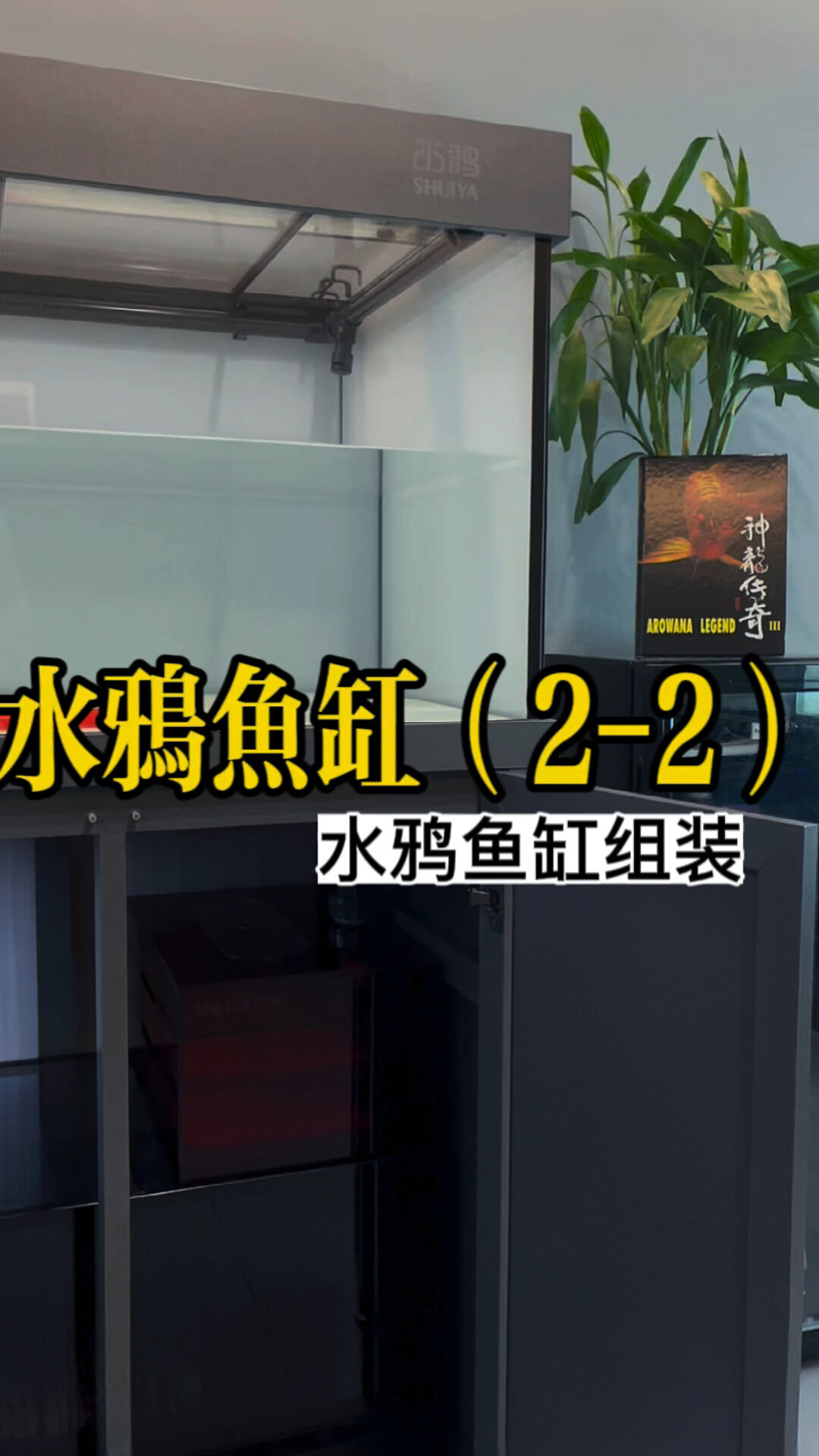 水鸦鱼缸