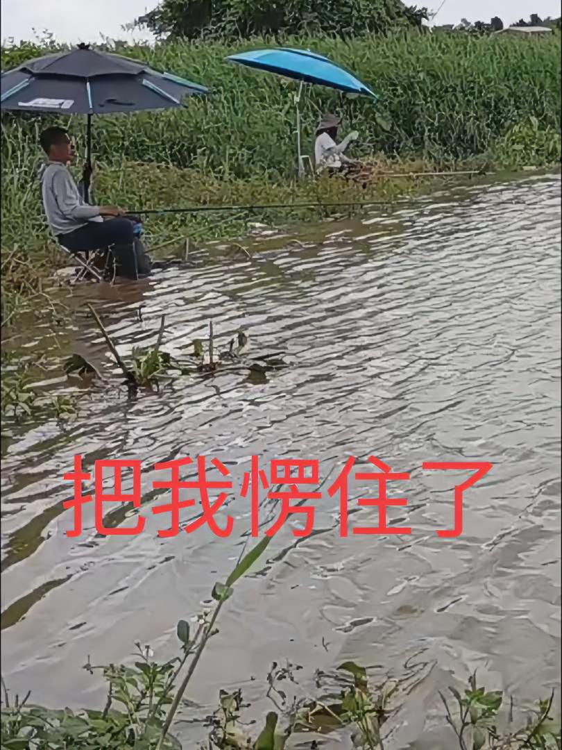 原创视频 和同事在东江钓鱼,叫到奇怪的声音,过去一看,把我愣住了 真实户外
