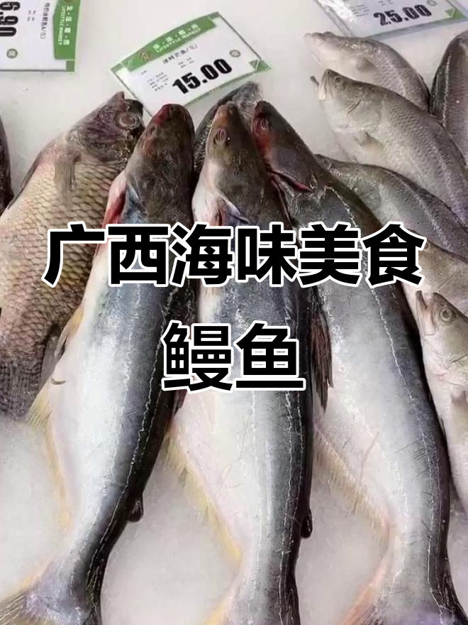 广西海边最爱的鳗鱼,家常做法超满足
