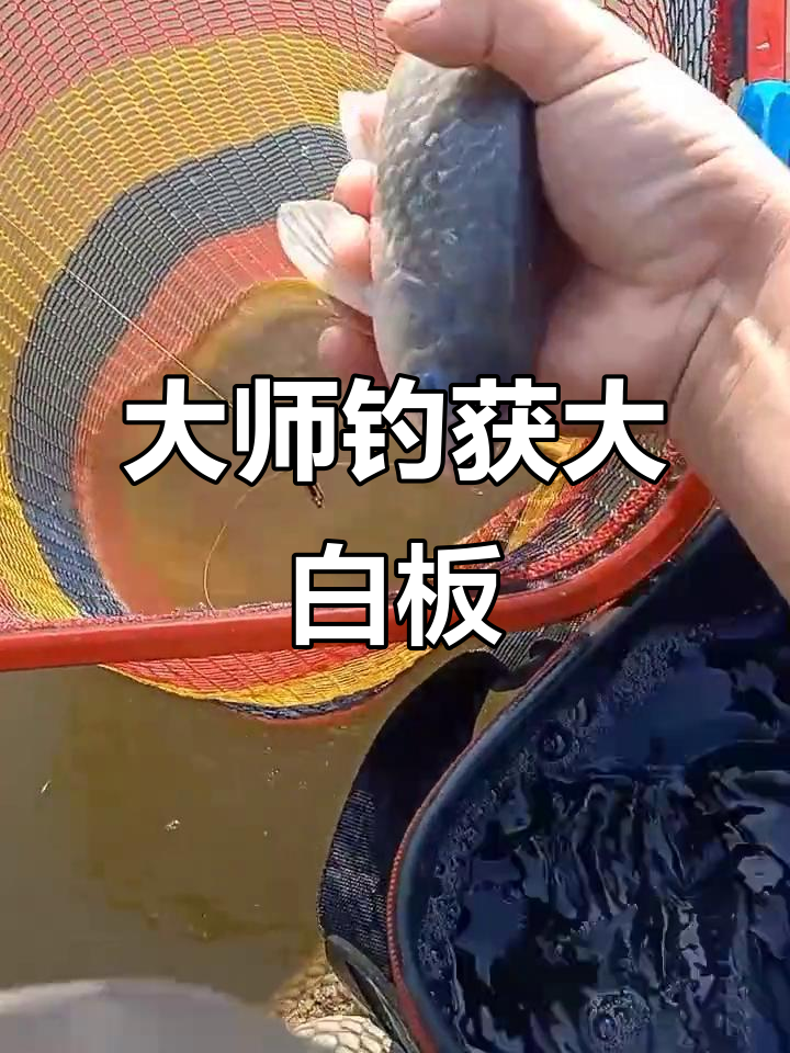 钓鱼大师现场秀,大白鲫鱼惊艳全场!
