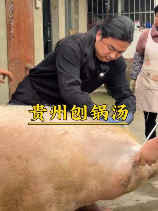 快过年了安排两头年猪，看看贵州刨锅汤怎么做