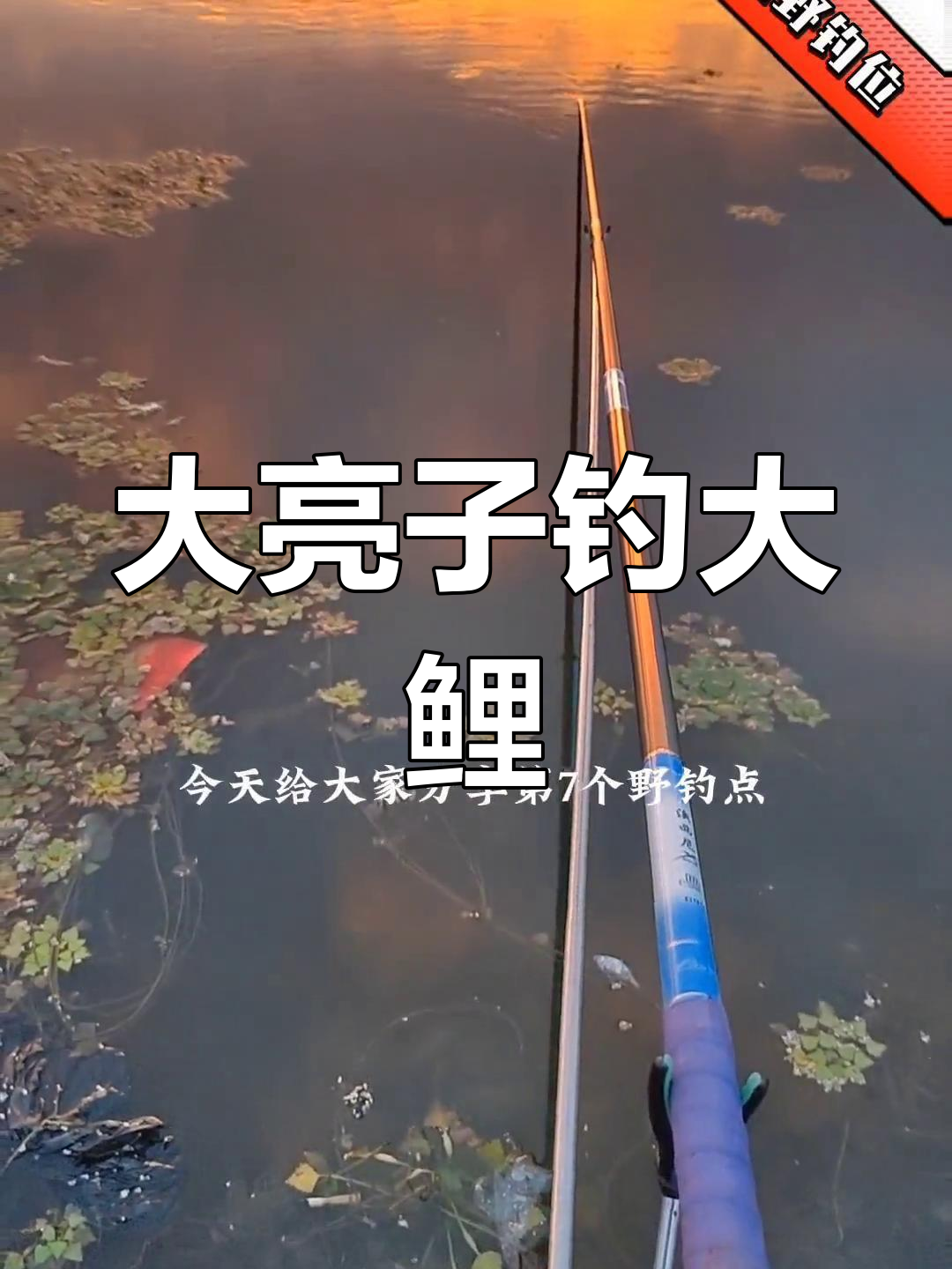 哈尔滨大亮子钓鱼点,守鲤高手常驻地