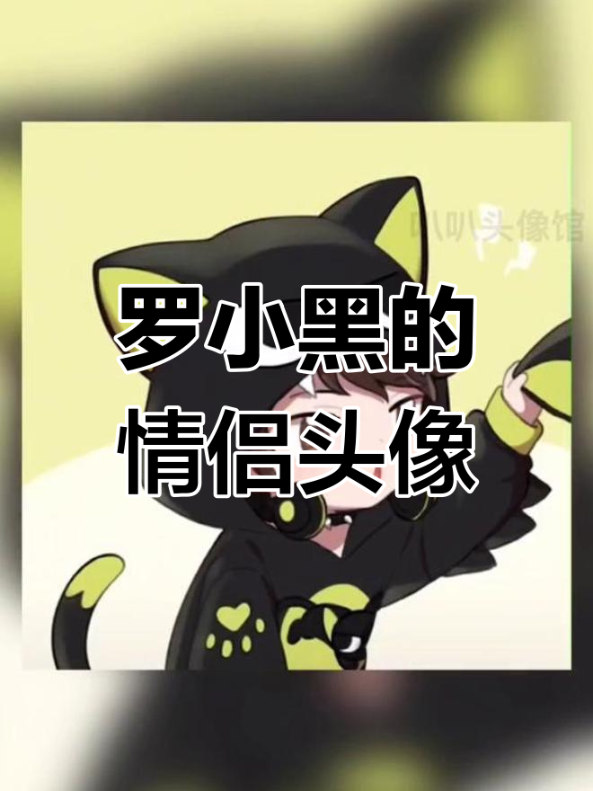 我的猫猫也爱罗小黑