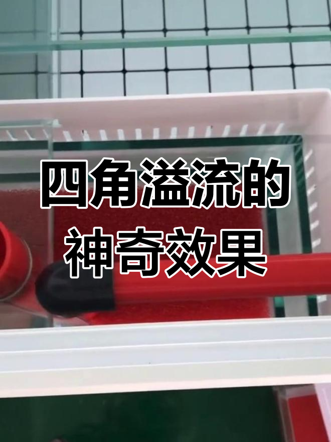 四角溢流,鱼缸无所不能