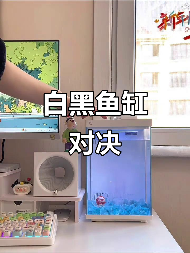 白色鱼缸开箱,对比黑白两款,哪个更美?