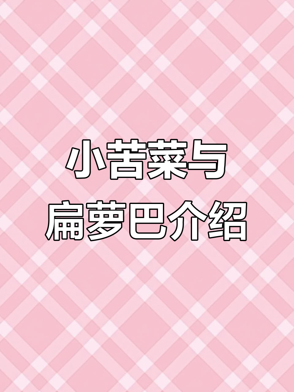 四季绿杆小青菜与牛罗巴青菜的种植技巧，腌菜更美味