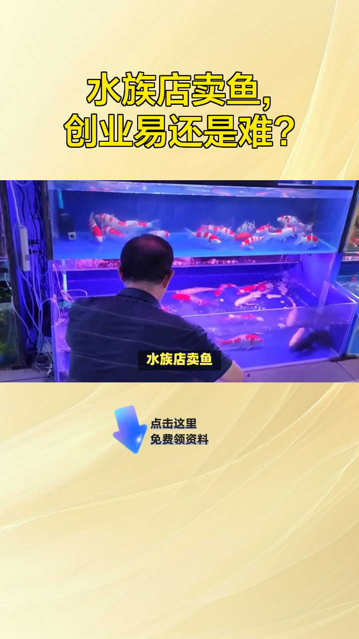 水族店卖鱼,创业易还是难?