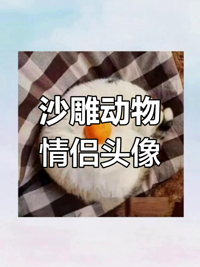 可爱动物沙雕情头,萌化你的心