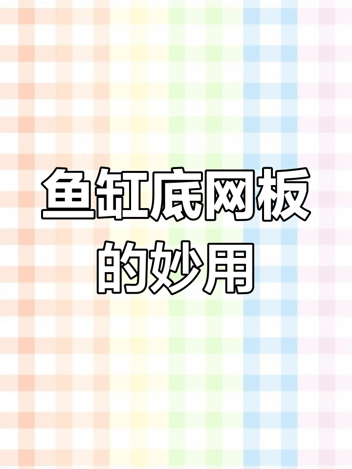 鱼缸底部网格板的作用,保护与隔离两不误