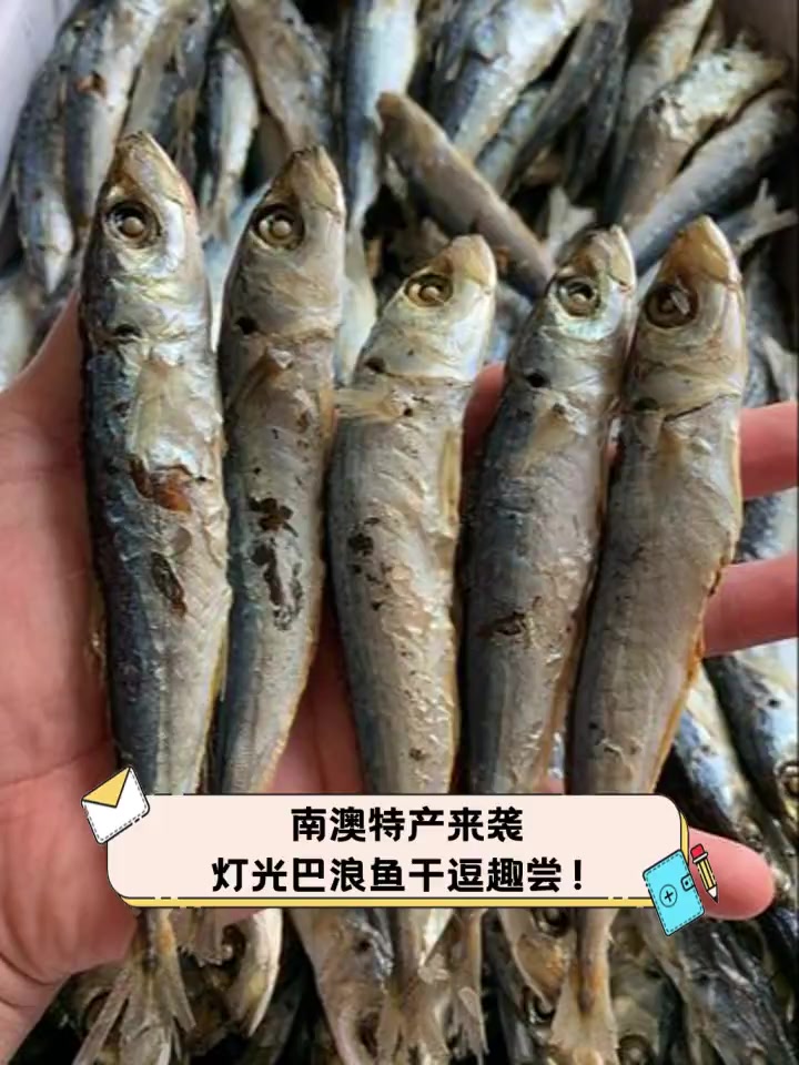 南澳特产来袭,灯光巴浪鱼干逗趣尝!