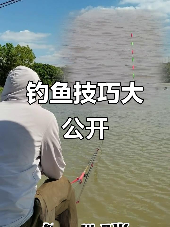 黑坑青鱼钓法揭秘：如何判断上鱼的漂相