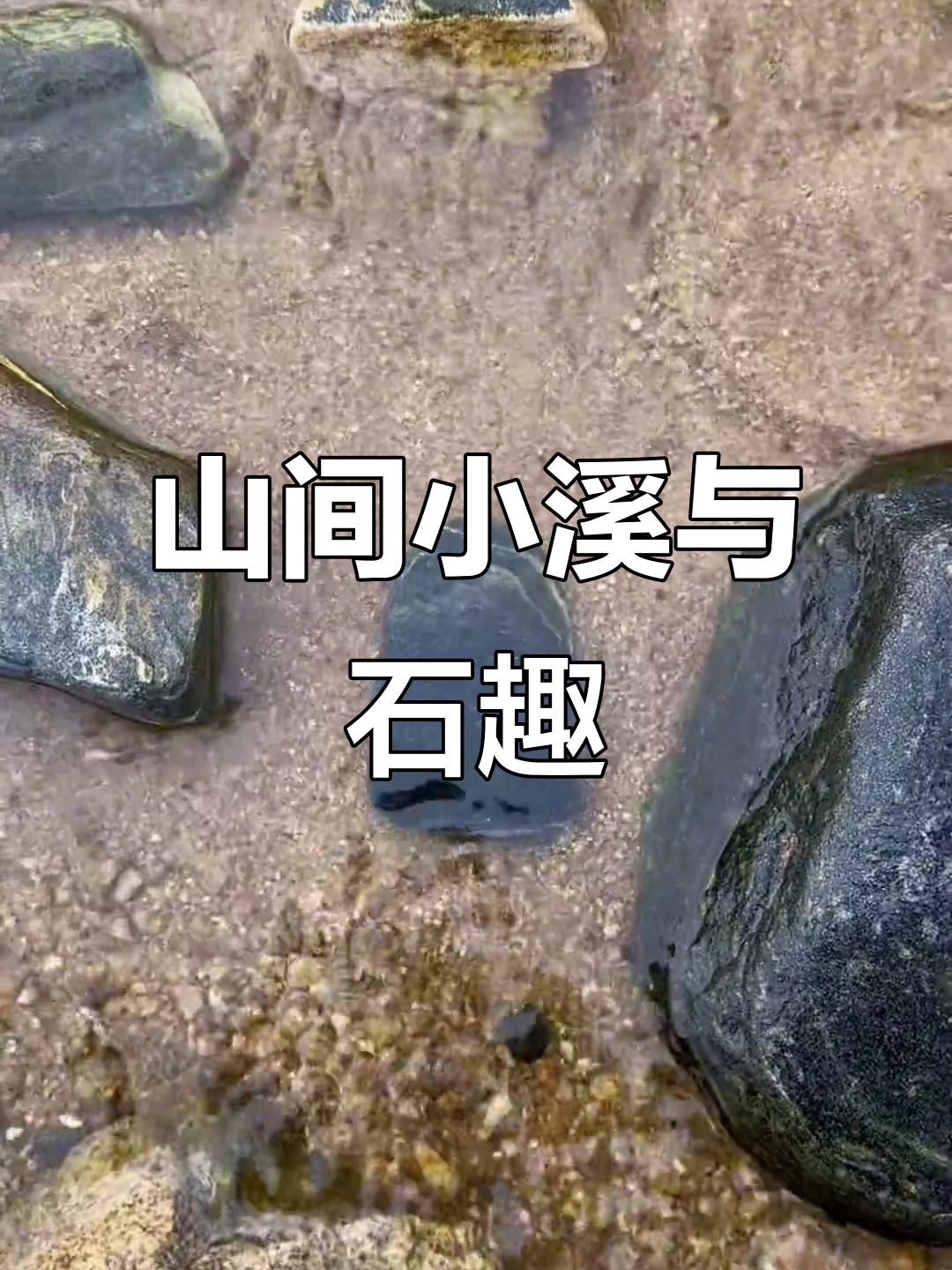 深山溪水美景,捡石头做鱼缸造景